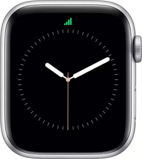 LTE icon on Apple Watch
