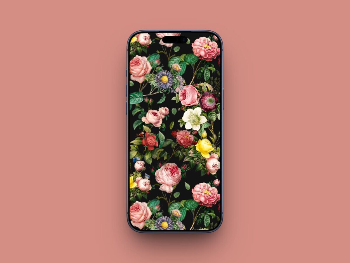 Elegant Rose Garden on Black wallpaper for iPhone
