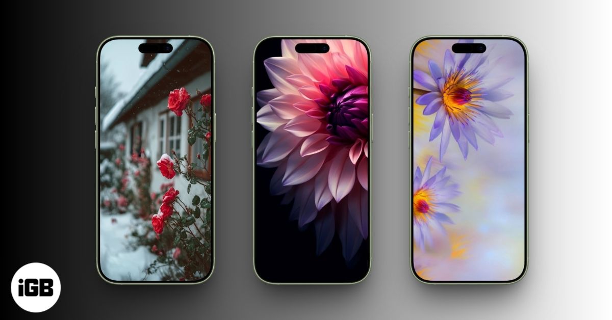 Flower Wallpapers for iPhone