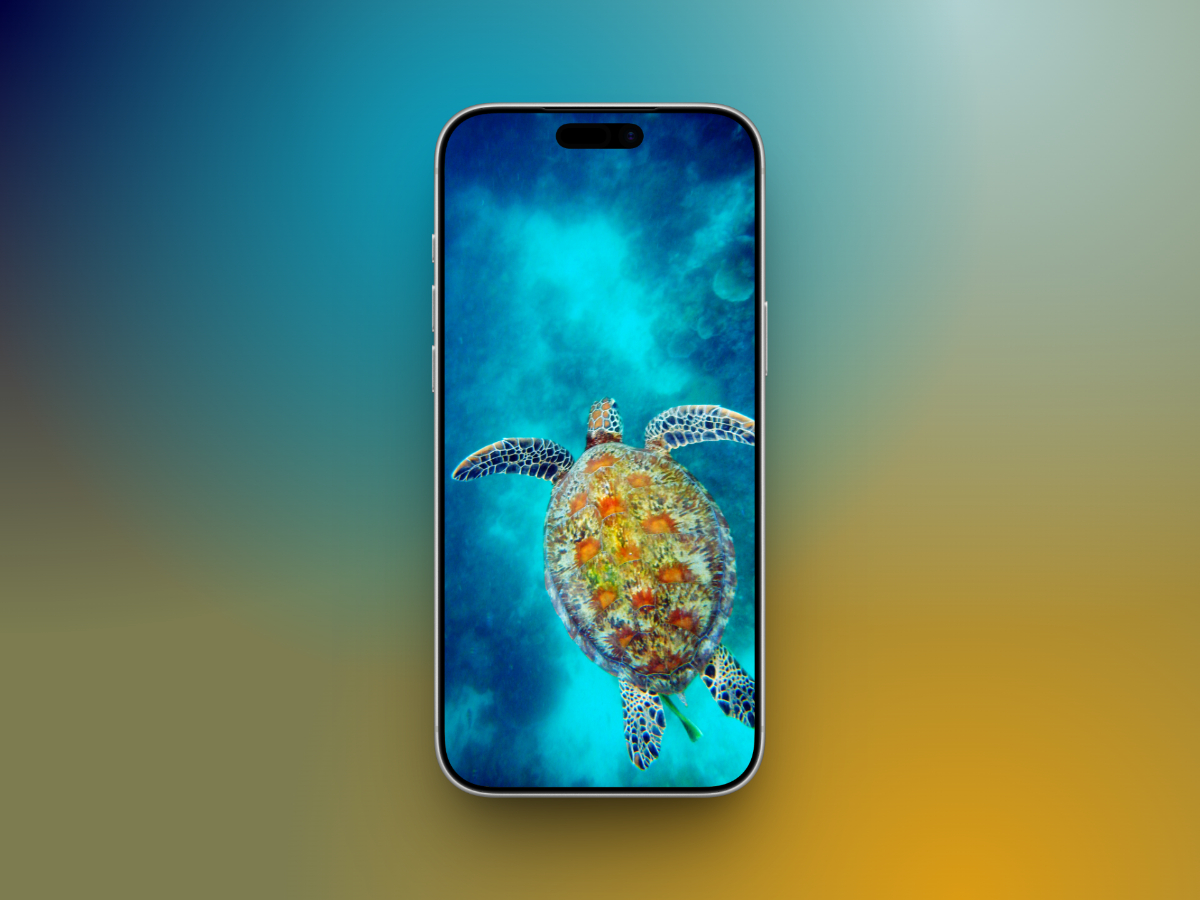 20 Aesthetic Ocean Wallpapers for iPhone in 4K – iGeeksBlog Sea Turtle Swimming