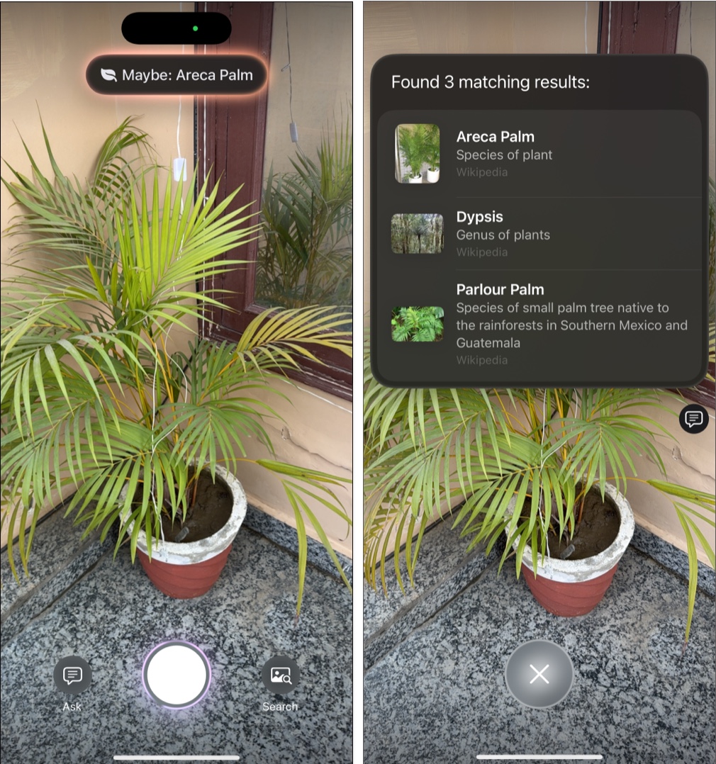 Use visual intelligence to identify animals and plants