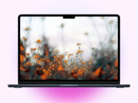 10 Best Aesthetic Wallpapers for Your MacBook – Download Now! – iGeeksBlog