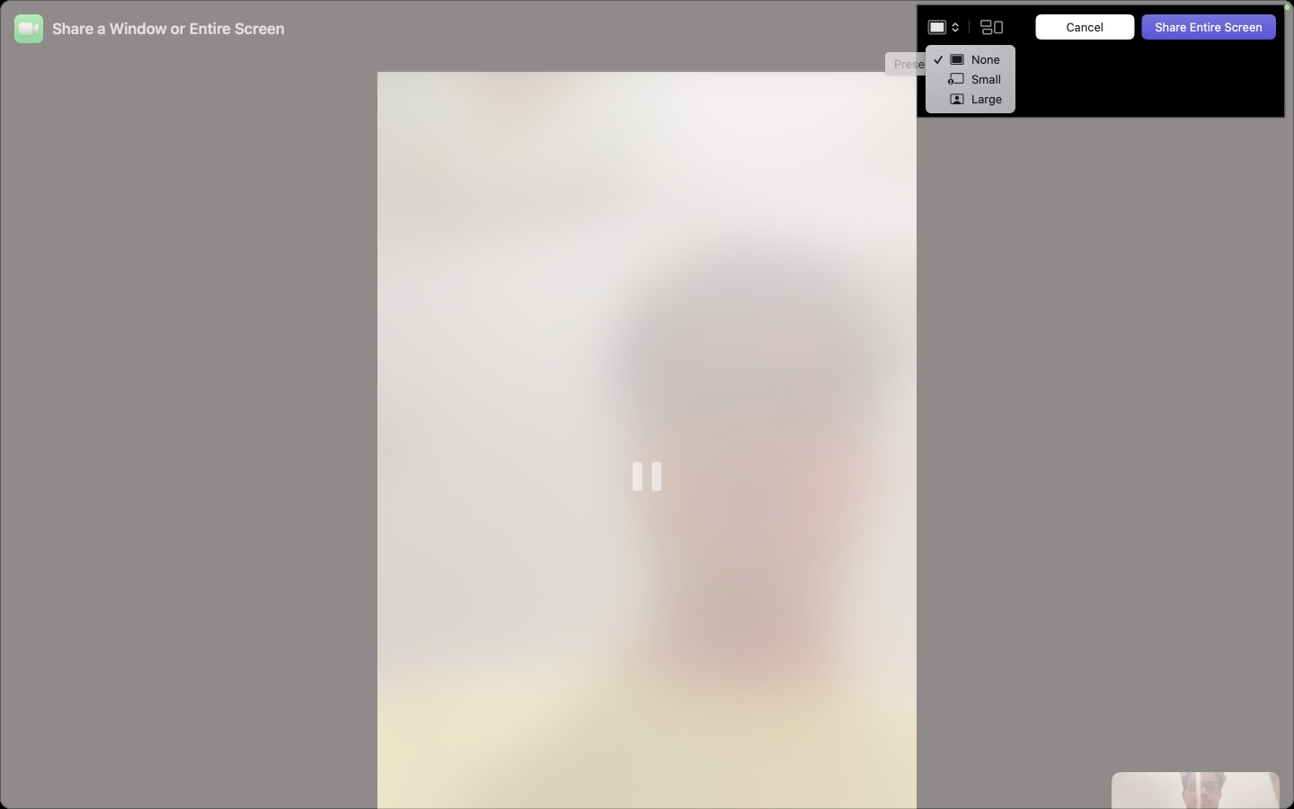 Select the Presenter Overlay icon choose None Small or Large overlay and tap Share Entire Screen on macOS
