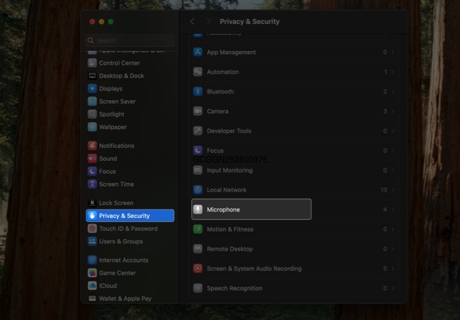Accessing Microphone permissions on the Privacy & Security page in macOS System Settings app.