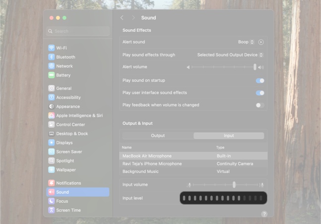 Checking Input Level bars to see if it picks up sound.