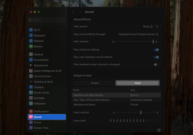 Sound settings on a Mac.
