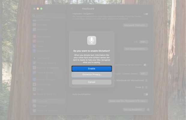 Enabling the Dictation feature on a Mac.