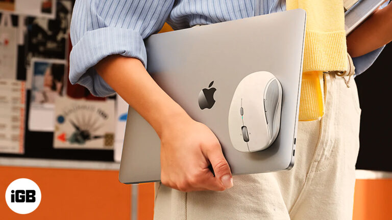 Esr magnetic mouse