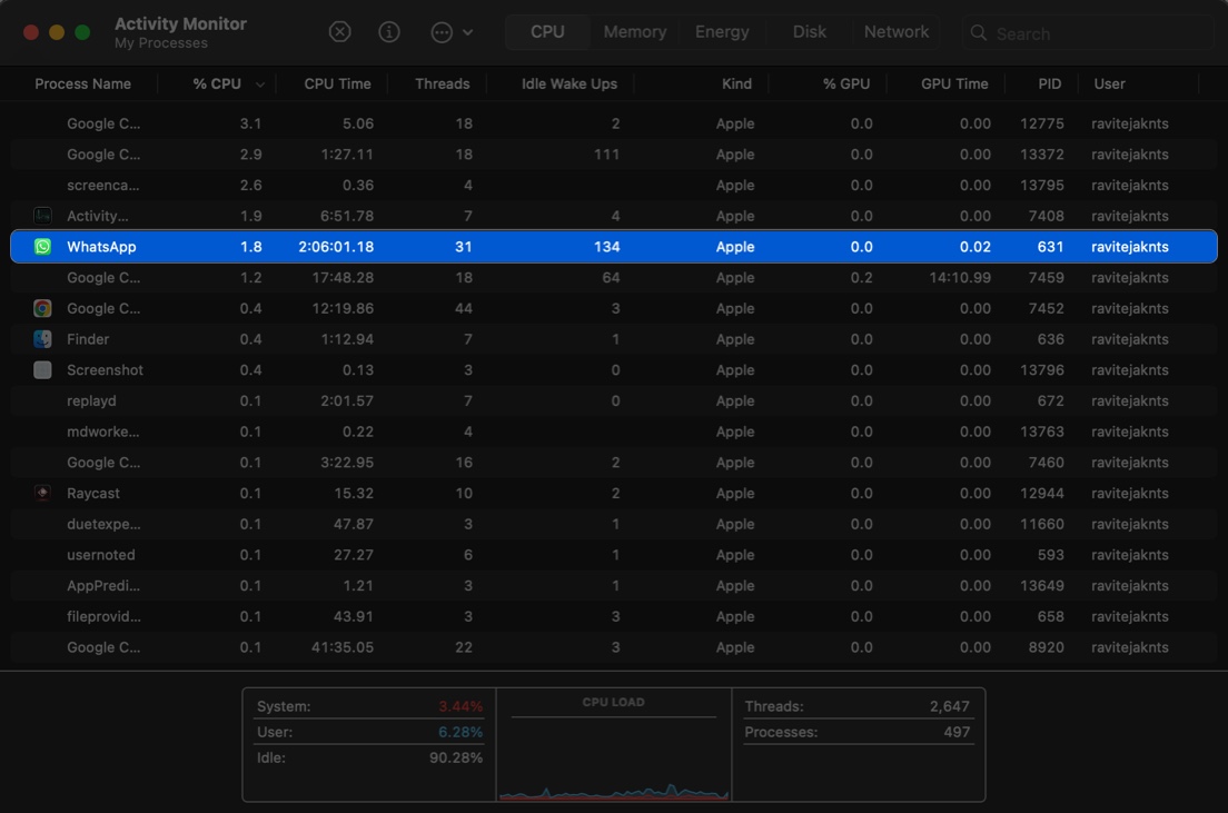Locating the app to force quit in the Activity Monitor app.
