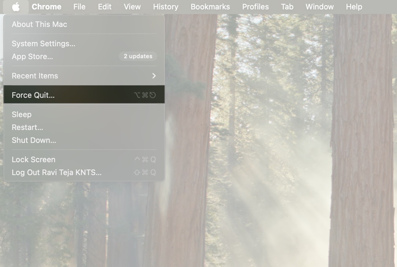 Accessing the Force Quit Applications window on a Mac from the Apple menu.
