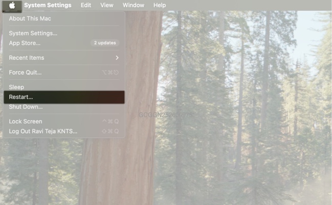 Restarting a Mac from the Apple menu.