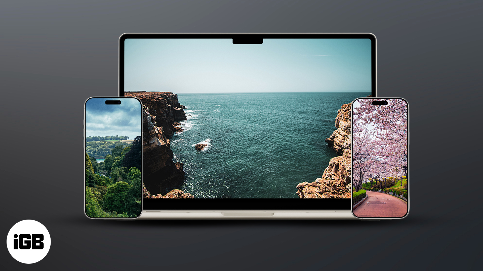 Breathtaking wallpapers for the iphone and desktop