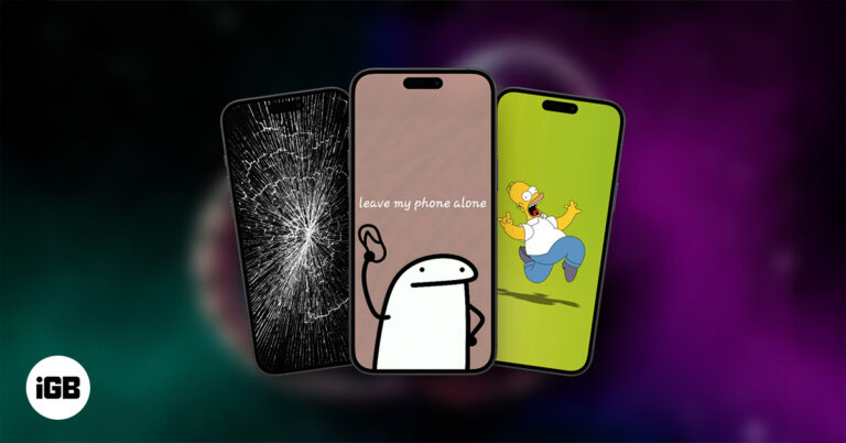 Best funny iphone wallpaper