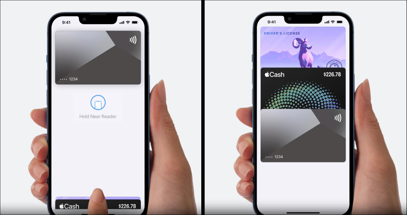 Choose driving license or state ID