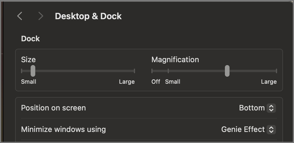 Dock size and position settings on mac
