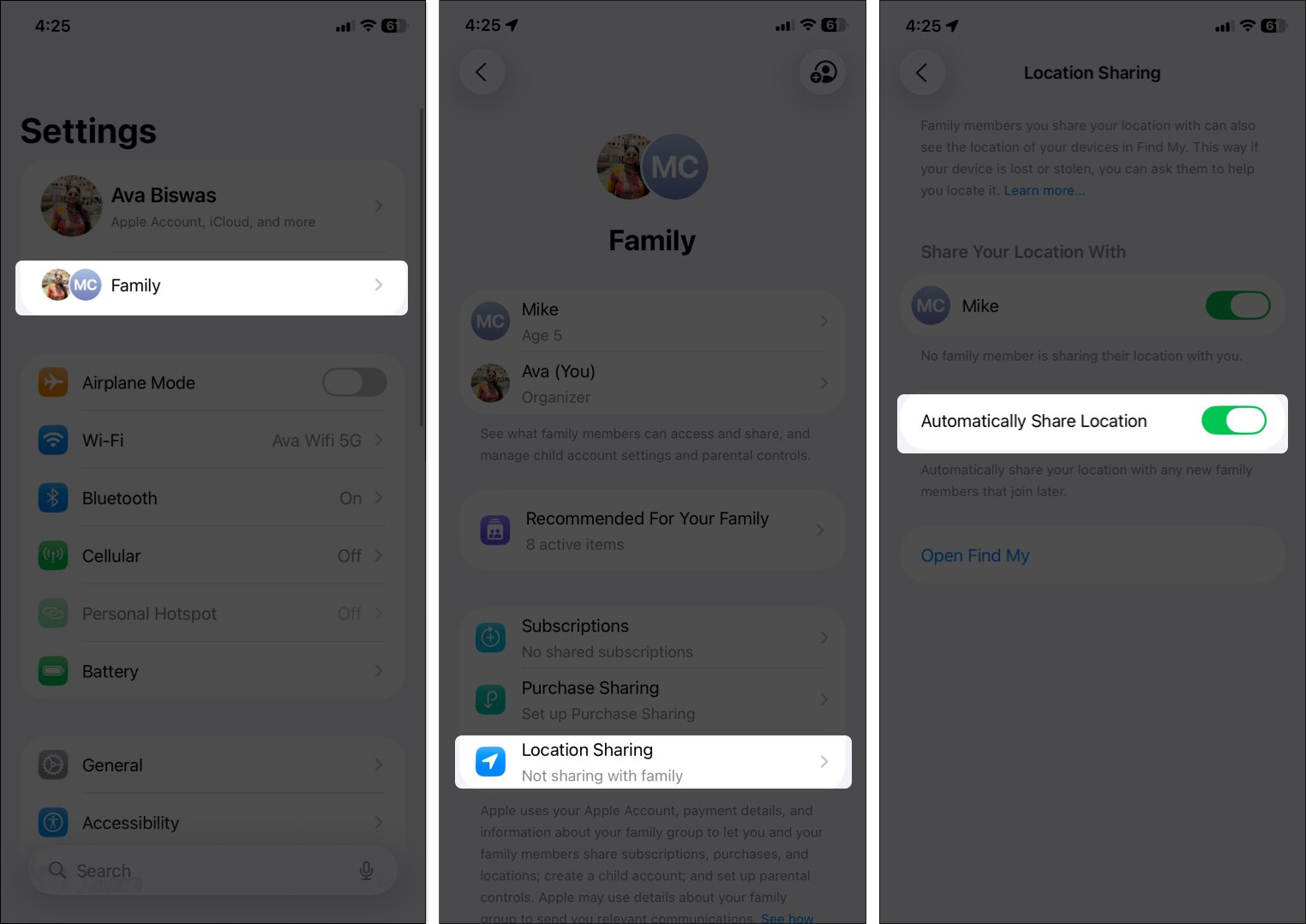 Toggle on automatically share location from family settings on iphone