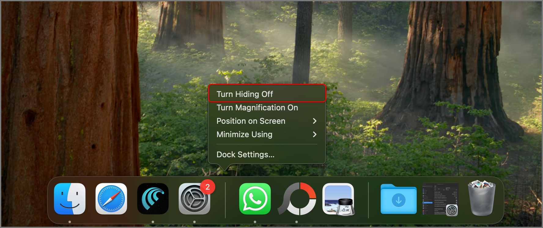Turn hiding off or on dock mac