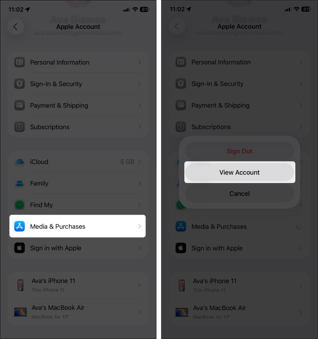 Open Media and Purchase then tap on view account