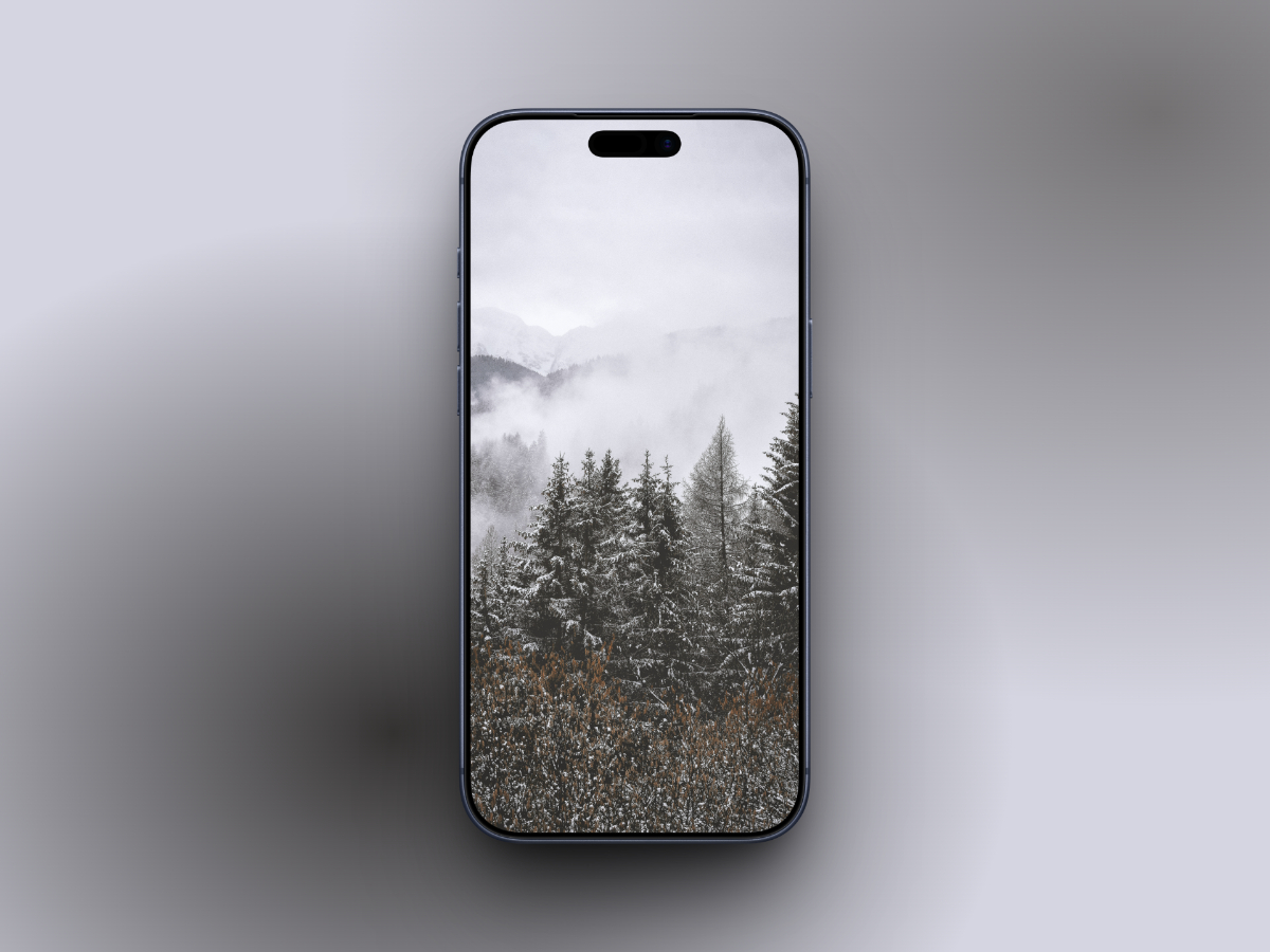 Aesthetic foggy forest with snow