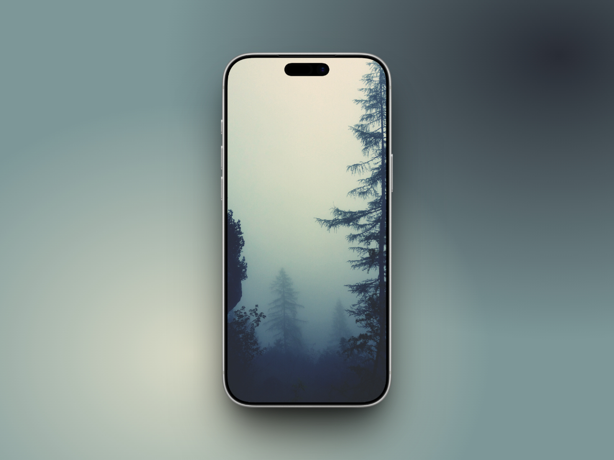 Dawn forest look