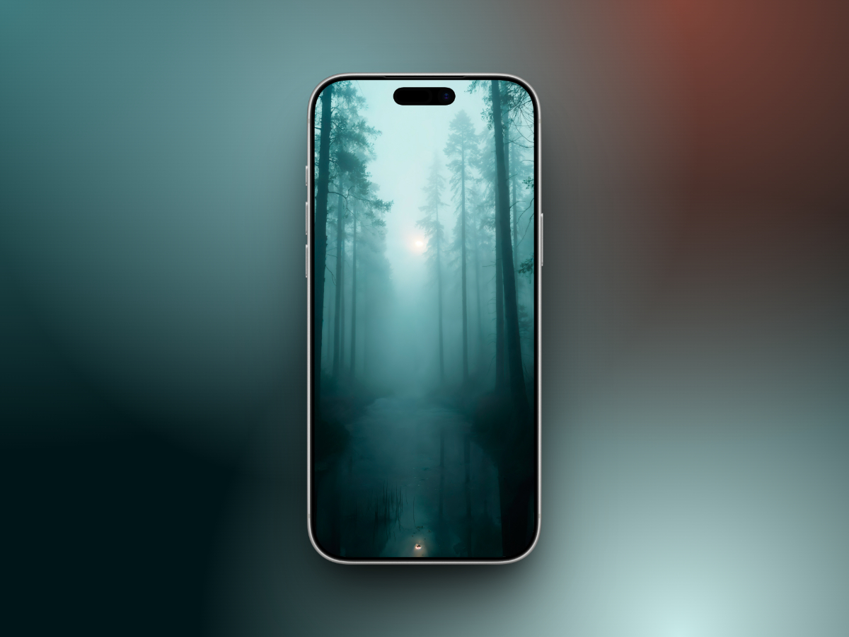 Magical pine forest
