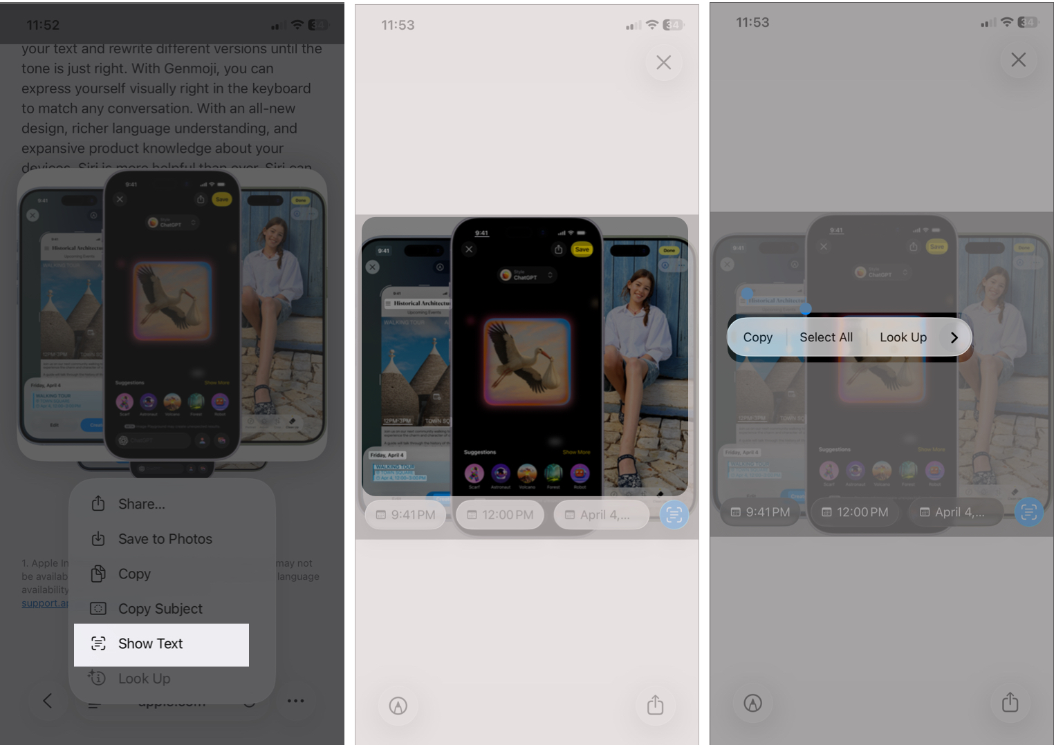 Activating the Live Text Interface in Safari and Mail by Tapping and Holding on Images to Show Text Options