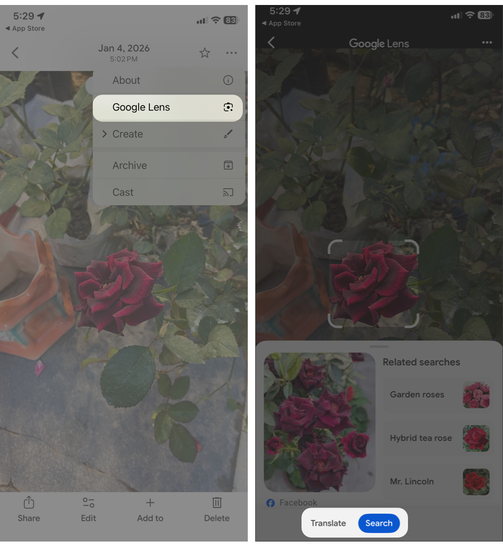 Tap the three-dot icon, select Google Lens, and choose Search or Translate to process your photo