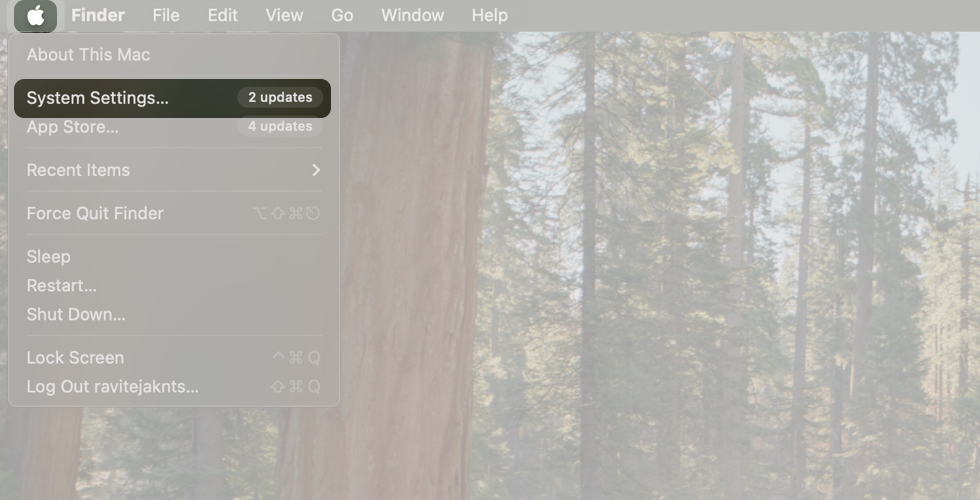 Accessing the Apple Menu and Selecting System Settings on a Mac