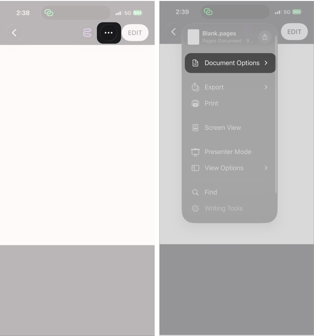 How to Password Protect Pages, Numbers, and Keynote on iPhone, iPad, and Mac β iGeeksBlog Accessing the Set Password option in Pages on iPhone.
