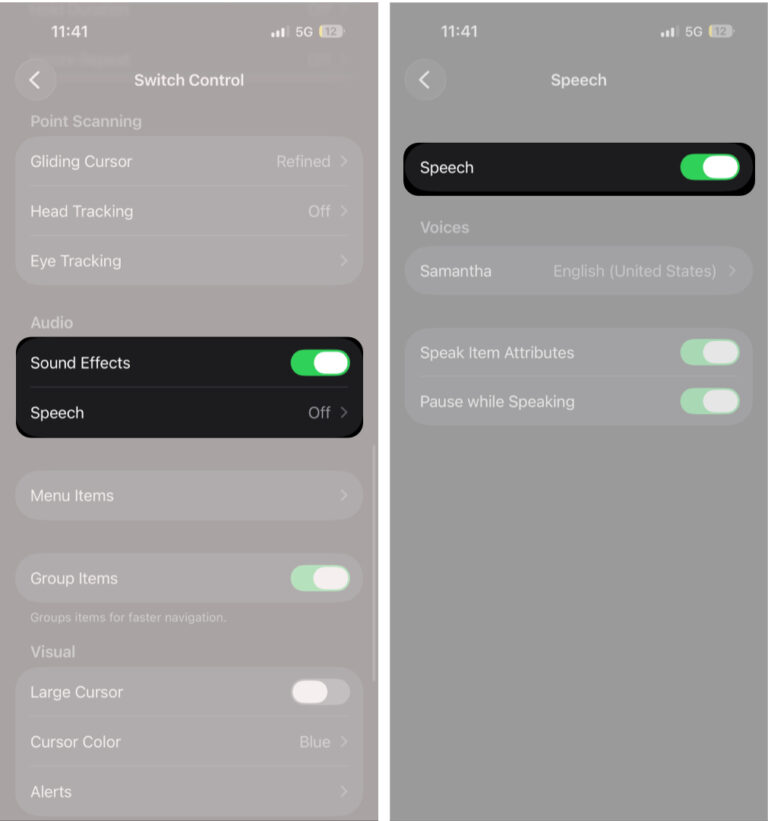 How to Use Switch Control on iPhone and iPad - iGeeksBlog