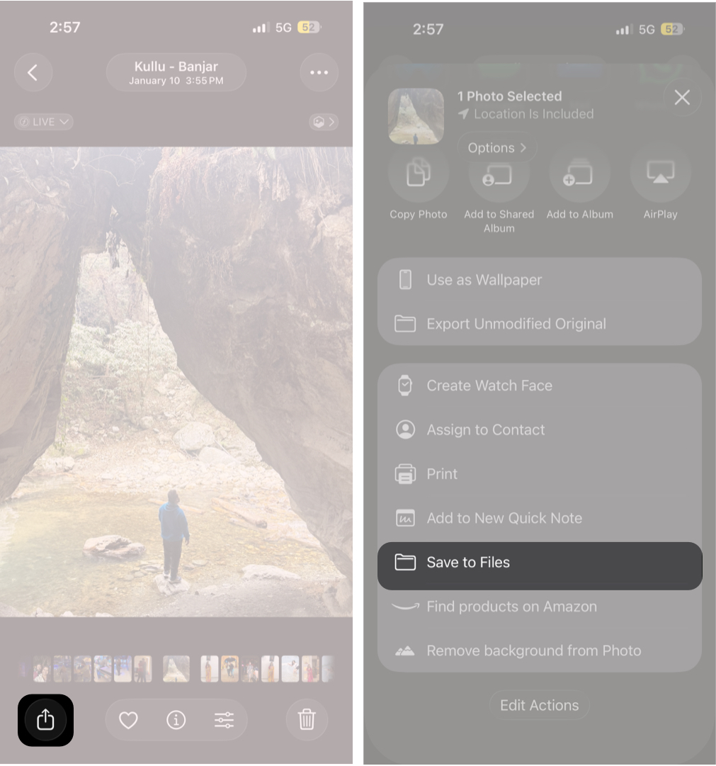 Locating the Share button in the iPhone Photos app.