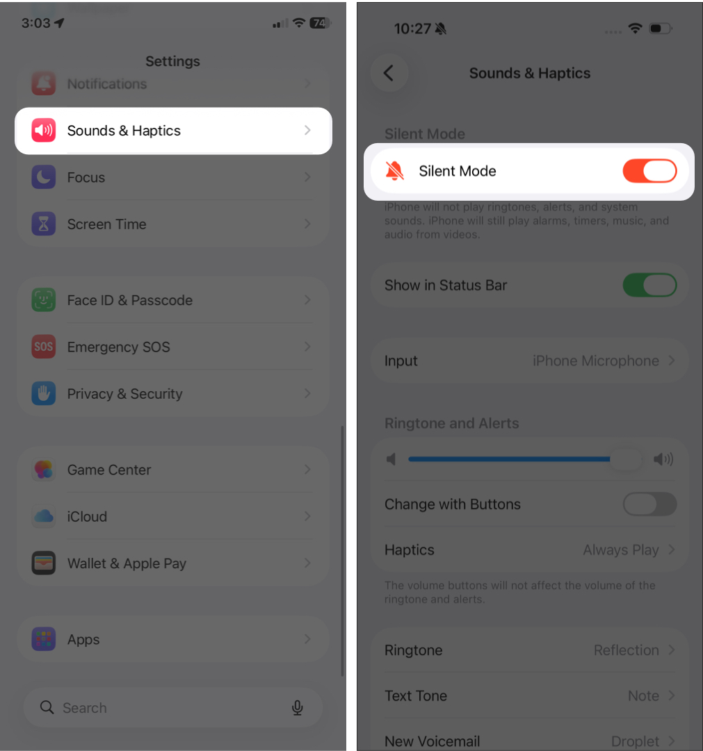 How to Mute Someone on FaceTime: A Complete Guide Mute Incoming Calls in iPhone