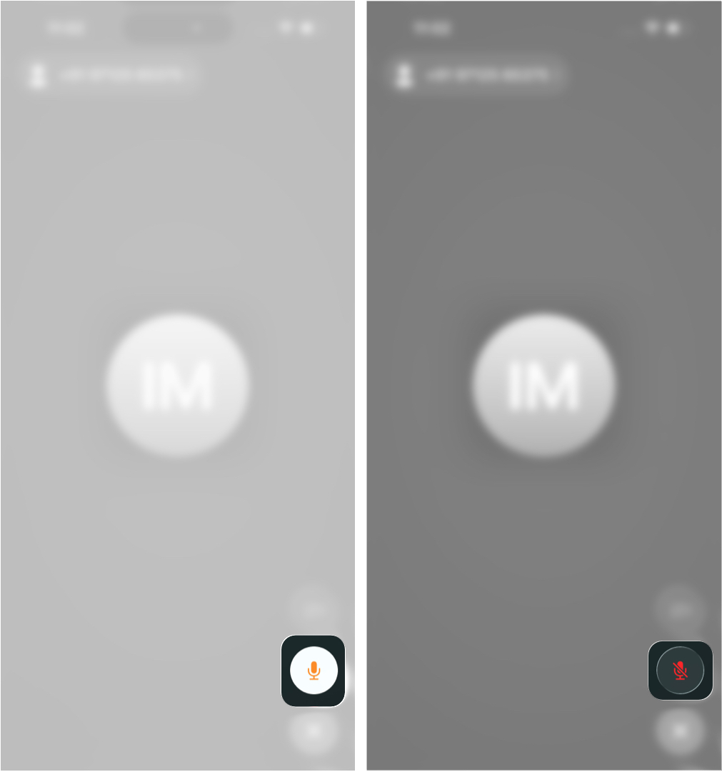 How to Mute Someone on FaceTime: A Complete Guide Mute Yourself in iPhone
