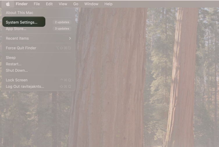 Opening System Settings on a Mac.