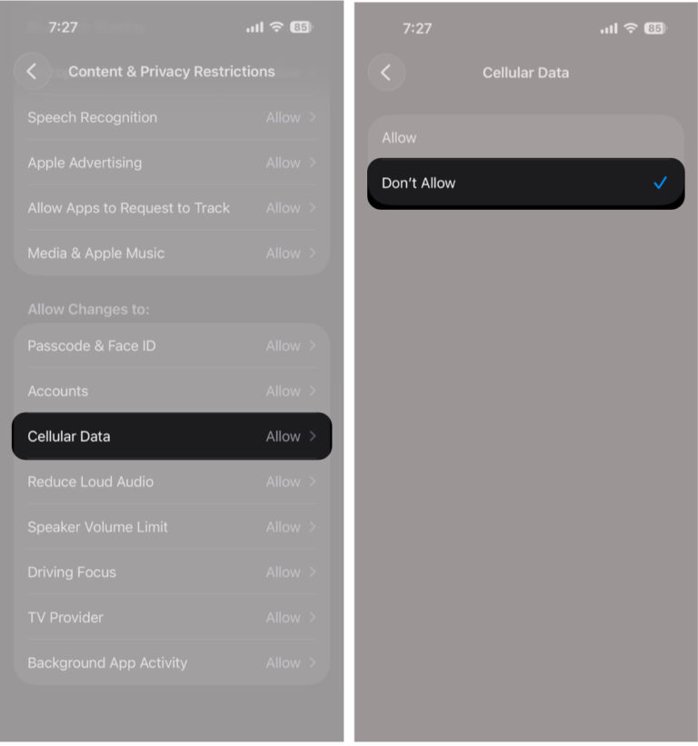 How to Restrict Cellular Data Usage on iPhone and iPad – iGeeksBlog