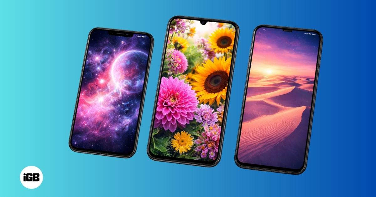 Top 5 Best Wallpaper Apps You Should Try