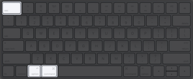 Command + Option + Esc for force quit