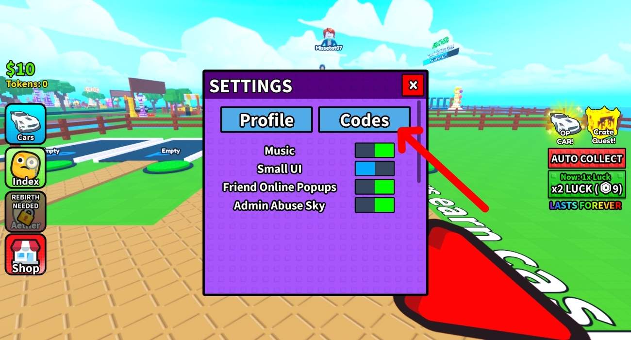 Inside the Menu Open Codes Section