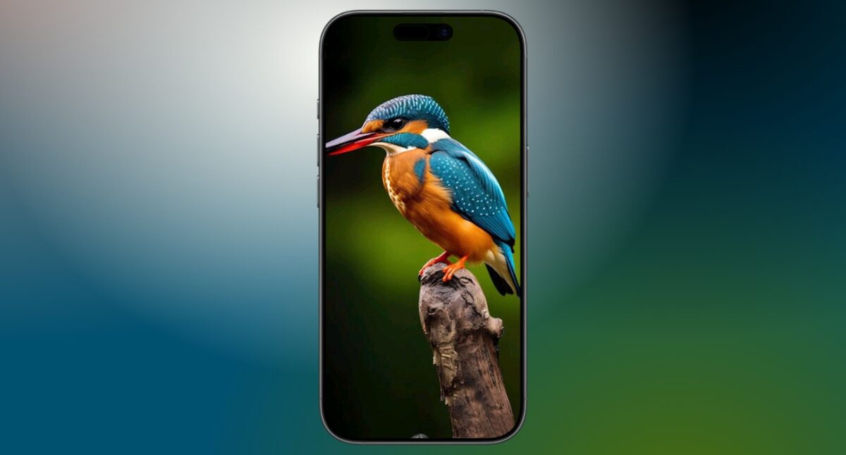 Kingfisher perch gives a sharp and vibrant finish