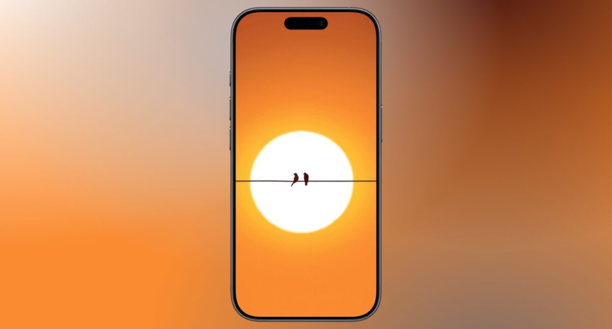 Minimal sunset birds for clean and calm look