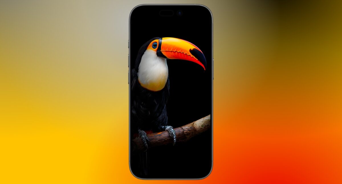 Toucan on branch gives a vibrant aesthetic