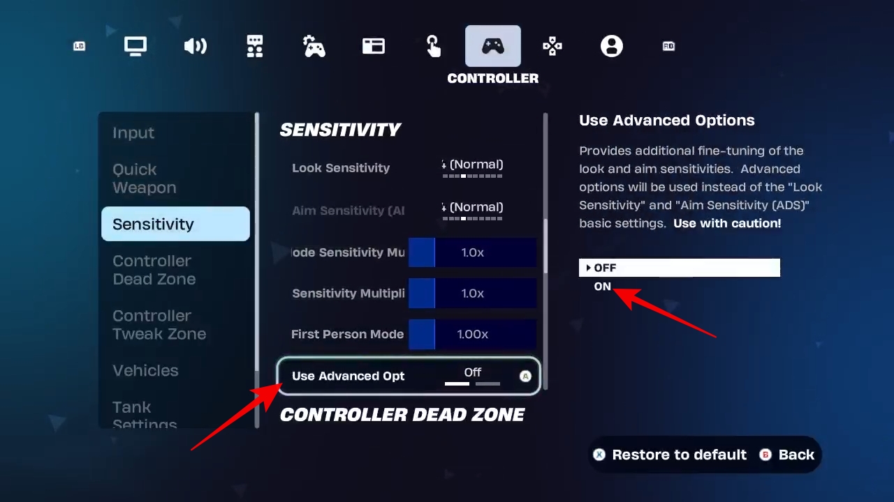 Advanced Options setting enabled in Fortnite
