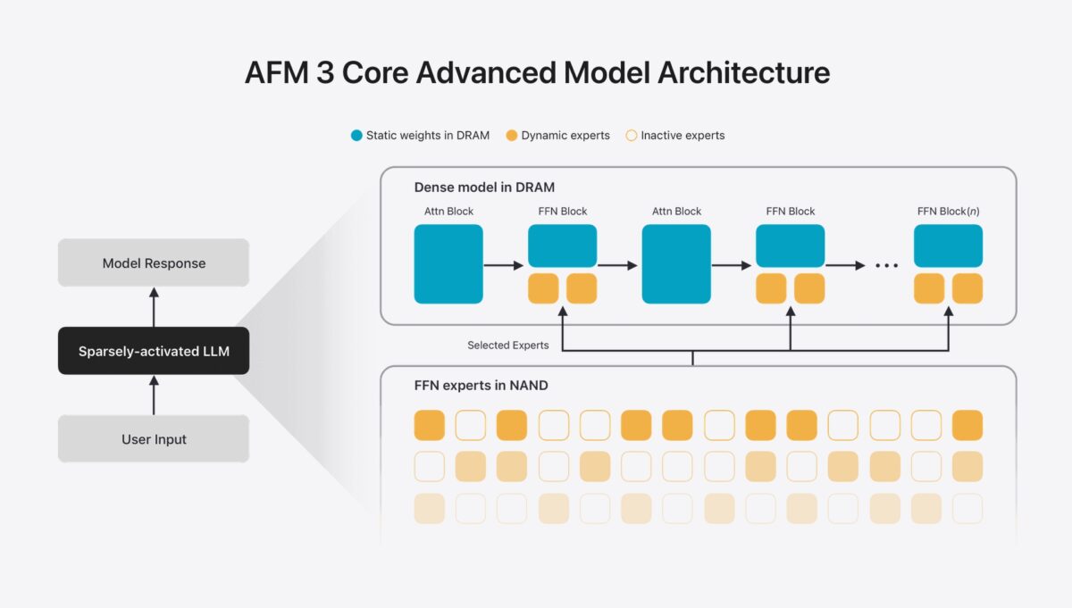 An illustration of the AFM 3 Core Advanced model architecture
