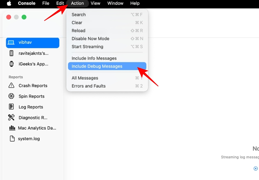 Click Include Debug Messages