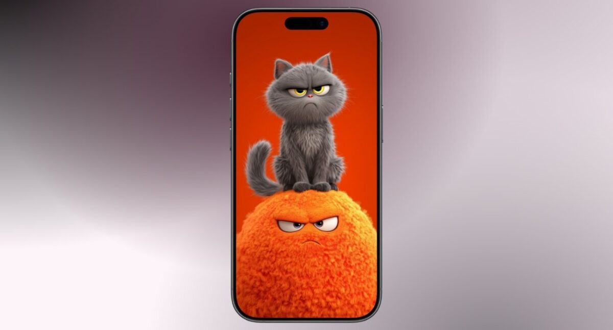 iPhone screen showing a gray, grumpy cat perched on a bright orange fluffy ball against an orange background.