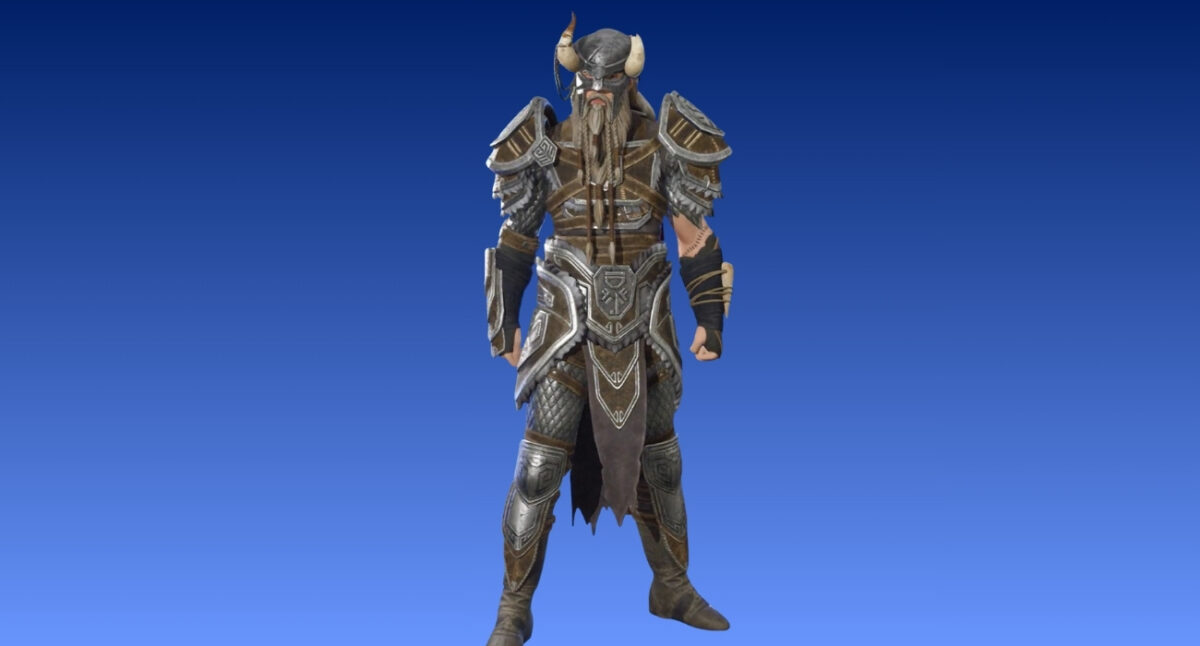 Nord Warrior
