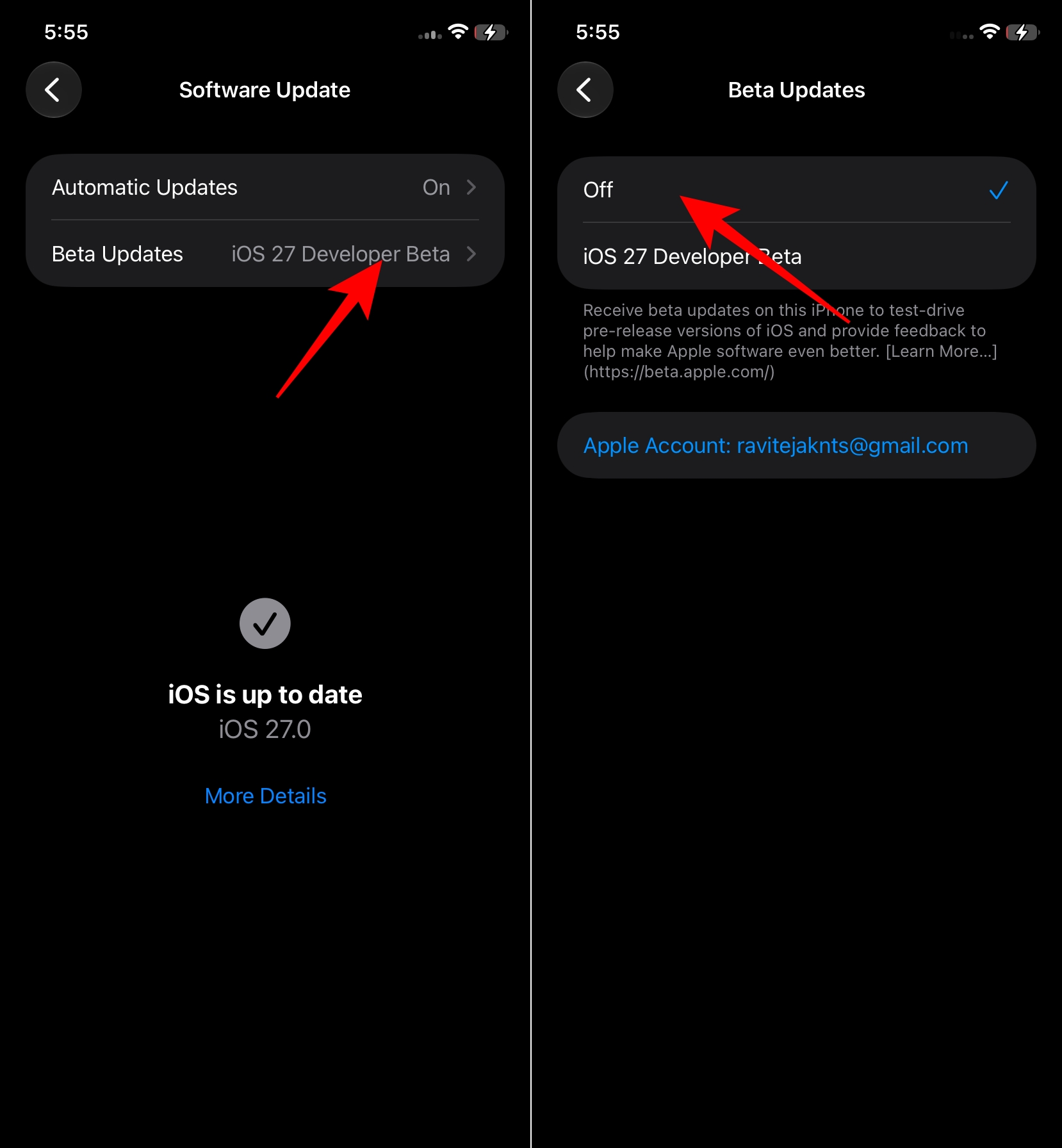 Opting out of beta Updates