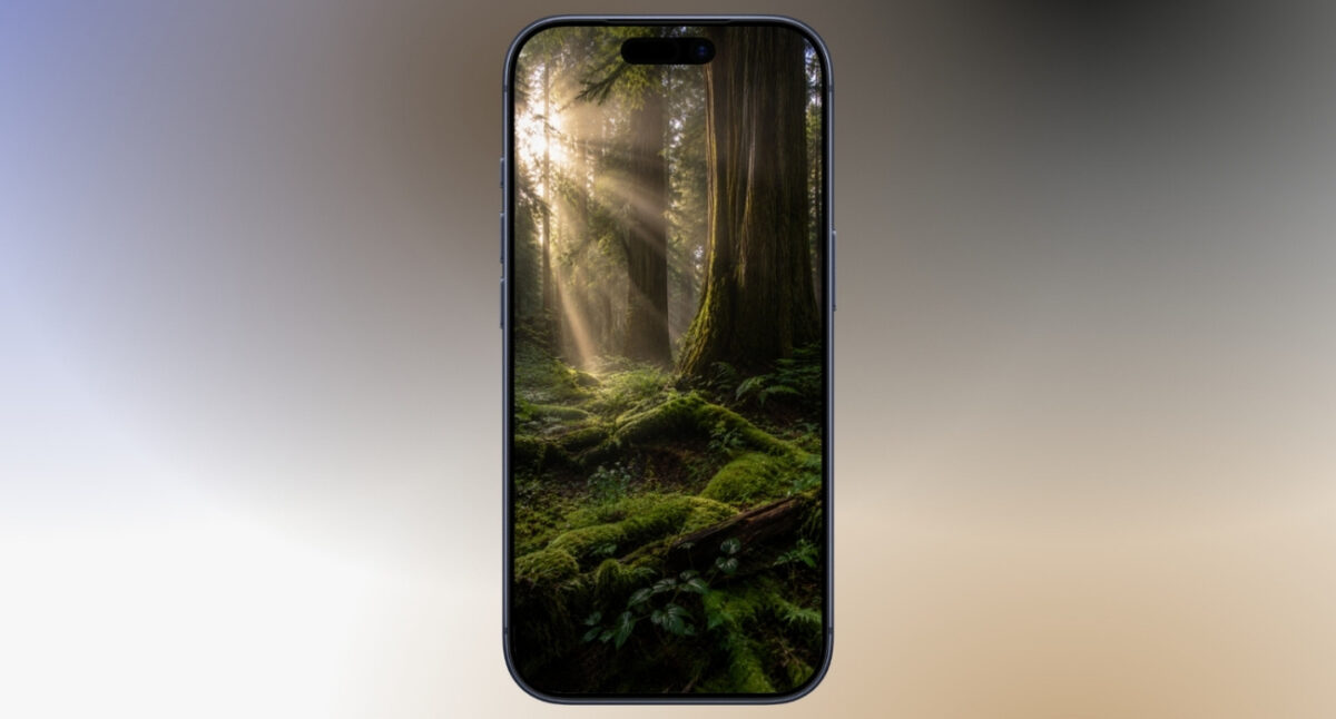 Redwood magic