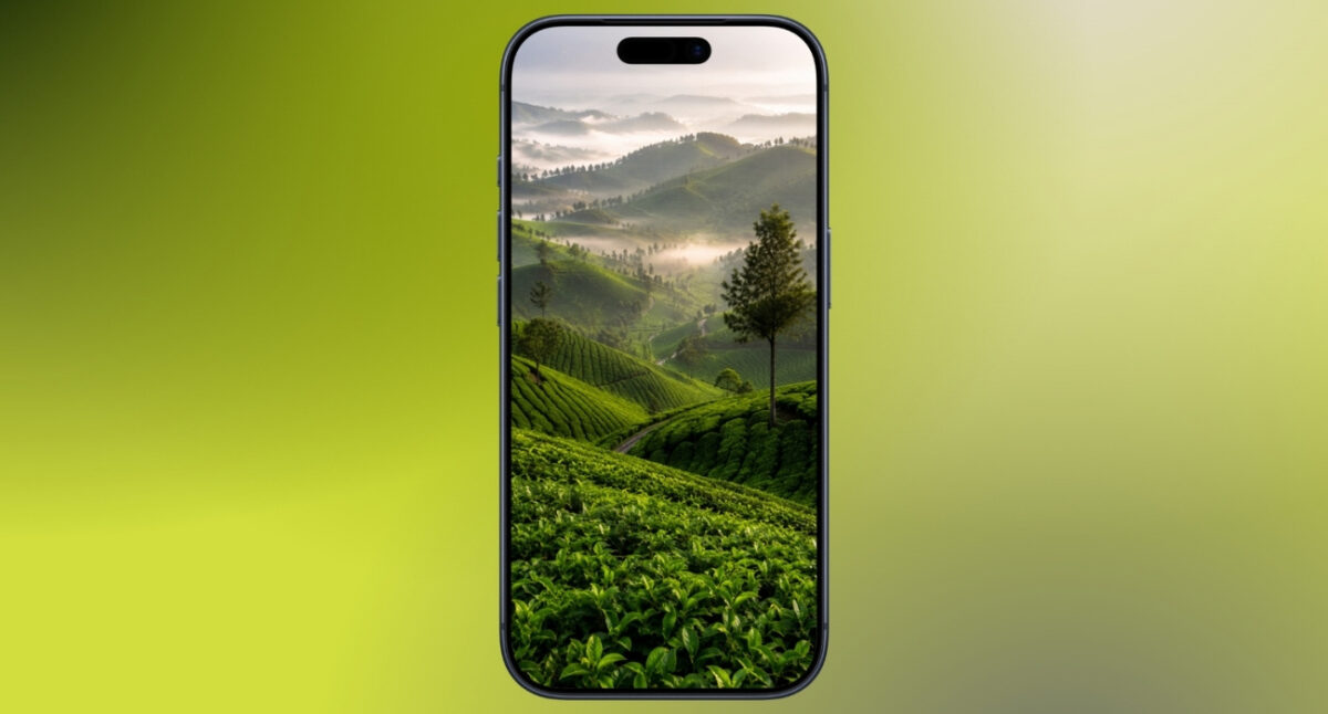 Tea hill mist
