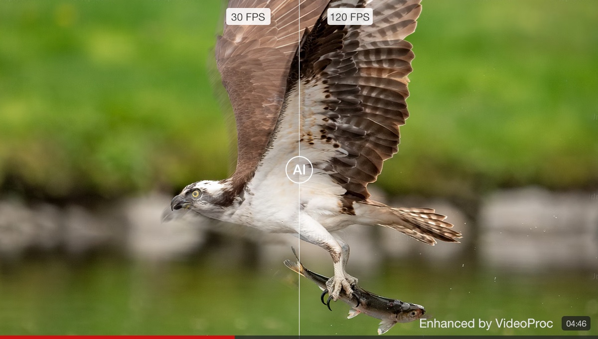 Videoproc converter ai frame interpolation